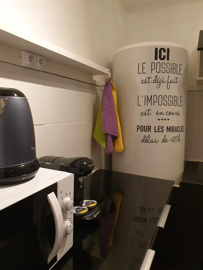 Apartmán Spa Celyna Appartement Avec Jacuzzi Privatif Lyon Francie